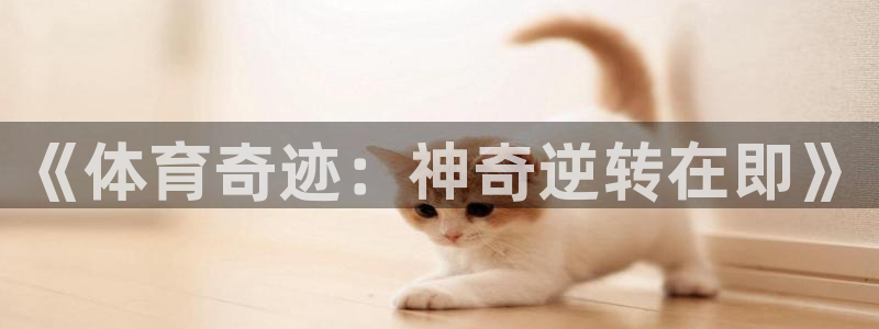 探球體育app：《體育奇跡：神奇逆轉在即》