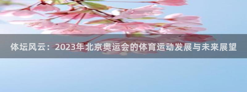 探球體育比分