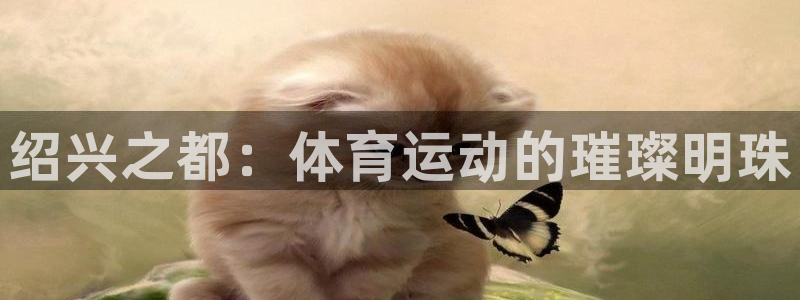 探球體育